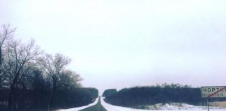 Дороги Тернопільщини у задовільному стані