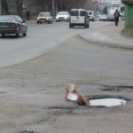 Тернопільські водії рятуються, як можуть (фото)