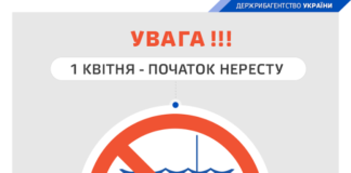 З 1 квітня деякі тернопільські чоловіки почнуть більше уваги приділяти жінкам