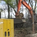 У Тернополі чергові три дерева стали жертвою людської захланності (фото)