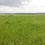 На Тернопільщині прокуратура повертає землі ліцею вартістю  понад 3 млн. грн