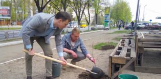 У Тернополі сталося неймовірне – на місці, де мали бути МАФи, посадили дерева