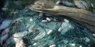 У тернопільських браконьєрів конфіскували півкілометра сіток
