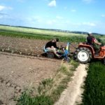 Після концерту на Тернопільщині відомі музиканти садили капусту (фото)