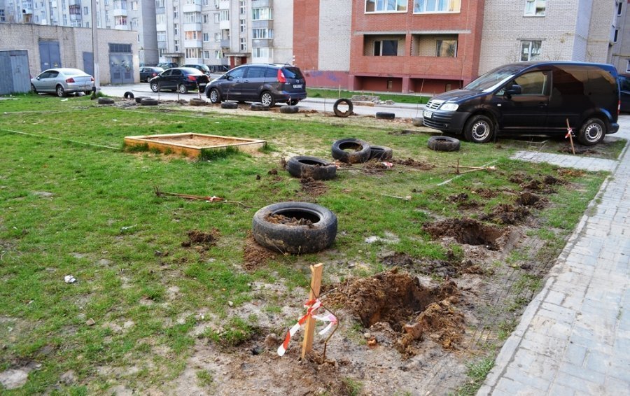 саджанці 2