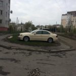 На одній з тернопільських клумб виросла квітка вартістю у багато тисяч гривень (фото)