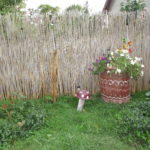 Жінки на Тернопільщині усе встигають – і дітей виховувати, і паркани будувати (фото)