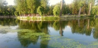 Тернопільський став нарешті очищають (фото)