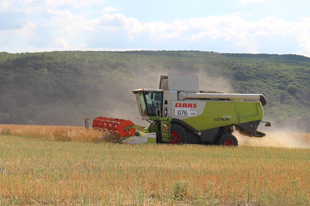mriya_agro_holdind_field.jpeg