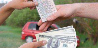 Цікаво, скільки тернополян їздить з купленими водійськими посвідченнями