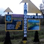 Колишній регіонал з Тернопілля судиться за роботу у бурштиновому лісгоспі Житомирщини
