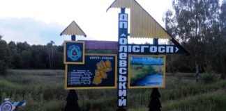 Колишній регіонал з Тернопілля судиться за роботу у бурштиновому лісгоспі Житомирщини