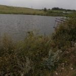 Тернопільські правоохоронці затримали підозрюваного у вбивстві без допомоги екстрасенсів