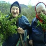 Пенсіонерка з Тернопільщини має патріотичний рот