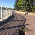 У Тернополі дерева почали рости з-під землі (фото)