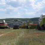 Агрохолдинг «МРІЯ» завершив збирати озимий ріпак