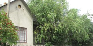 Чи у всяке минуле варто повертатися – роздуми тернопільської журналістки