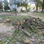 У Тернополі планують створити унікальний сквер (фото)