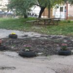 Як у Тернополі намагаються боротися з машинами під вікнами будинків (фото)