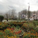Де у Тернополі ще масово цвітуть останні квіти (фото)