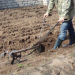 Тернопільські поліцейські звільнили чоловіка з рабства