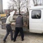 У Тернополі хтось краде собак