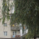 Переплутав з дверима: у Тернополі чоловік вийшов у вікно і впав з другого поверху