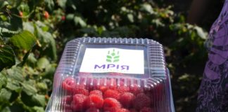 В наступному році «Мрія» створить 10 нових кооперативів