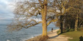 Чому тернопільський письменник провів місяць на шведському острові