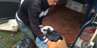 Однопартійці Арсенія Яценюка на Тернопільщині годують бездомних собак