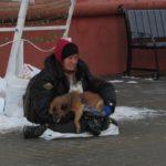 У Тернополі вже змушують жебракувати навіть тварин (фото)