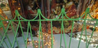 Тернопільська аномалія валить з ніг навіть оленів і верблюдів (фото)