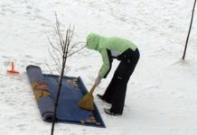 Яких звуків цими днями дуже не вистачає у Тернополі