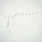 У небі над Тернопільщиною побачили дуже рідкісне для зими явище (фото)