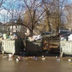 Як “свині” зіпсували тернополянці перший день року Собаки