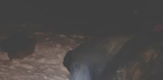 На Тернопільщині два чоловіки наловили риби на 6 тисяч гривень