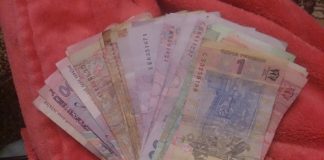 У Тернополі молодята на весіллі збирали гроші для безпритульних тварин (фото)