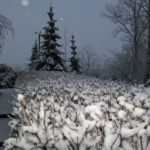 Завтра деякі тернополяни будуть довго шукати свої машини (фото)