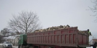 На Тернопільщині викрадачі лісу готові ламати хребти громадським активістам