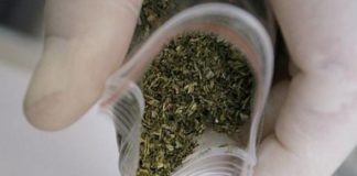 Житель села на Тернопільщині тримав удома наркотики через псоріаз