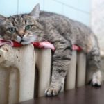 Опалювальний сезон скорочено: Кабмін переніс старт з жовтня на листопад