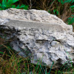 Через жінку з Америки тернополянину довелося звертатися до лікаря