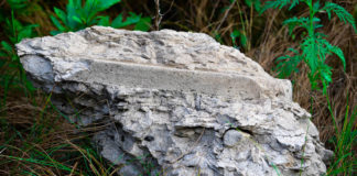 Через жінку з Америки тернополянину довелося звертатися до лікаря