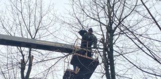 У Тернополі ніяк не можуть визначитися – чи проводити санітарне обрізування дерев