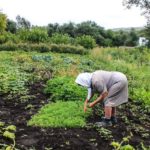 Сотні тернопільських пенсіонерів почали виконувати фізичні вправи
