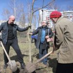 Тернопіль повертає собі статус «зеленої столиці» України
