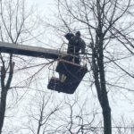 У Тернополі ніяк не можуть визначитися – чи проводити санітарне обрізування дерев
