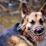 За що сьогодні тернополяни можуть заплатити штраф менший, ніж коштує пляшка горілки