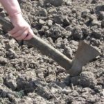 Жителі Тернопільщини через відсутність дощу взяли у руки сокири (фото)