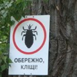 Кліщі заважають тернополянам відвідувати дефіляди